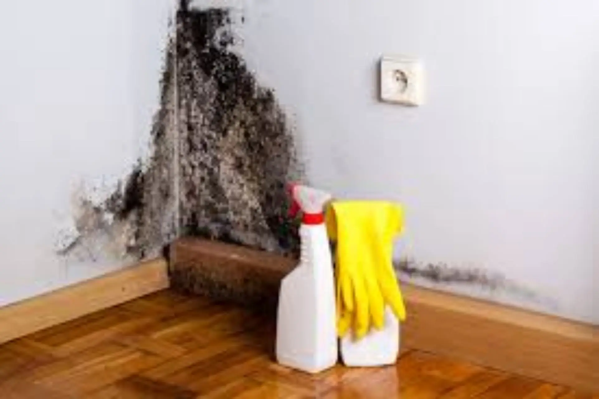 Riscaldare casa quando è molto umida: ecco l’errore comune che fa aumentare muffa e bollette