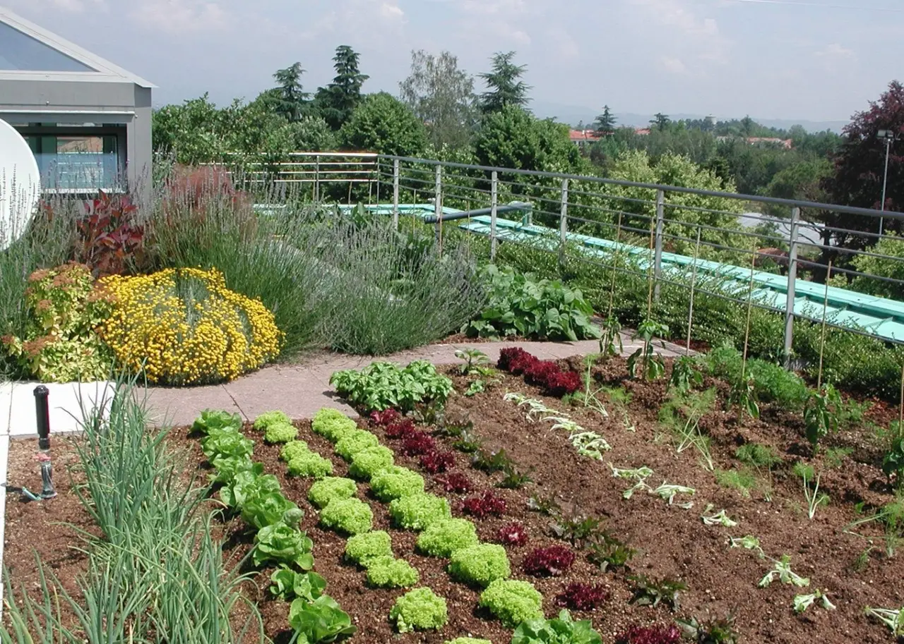Non usare il tessuto non tessuto solo in giardino: ecco gli usi sorprendenti e geniali in casa