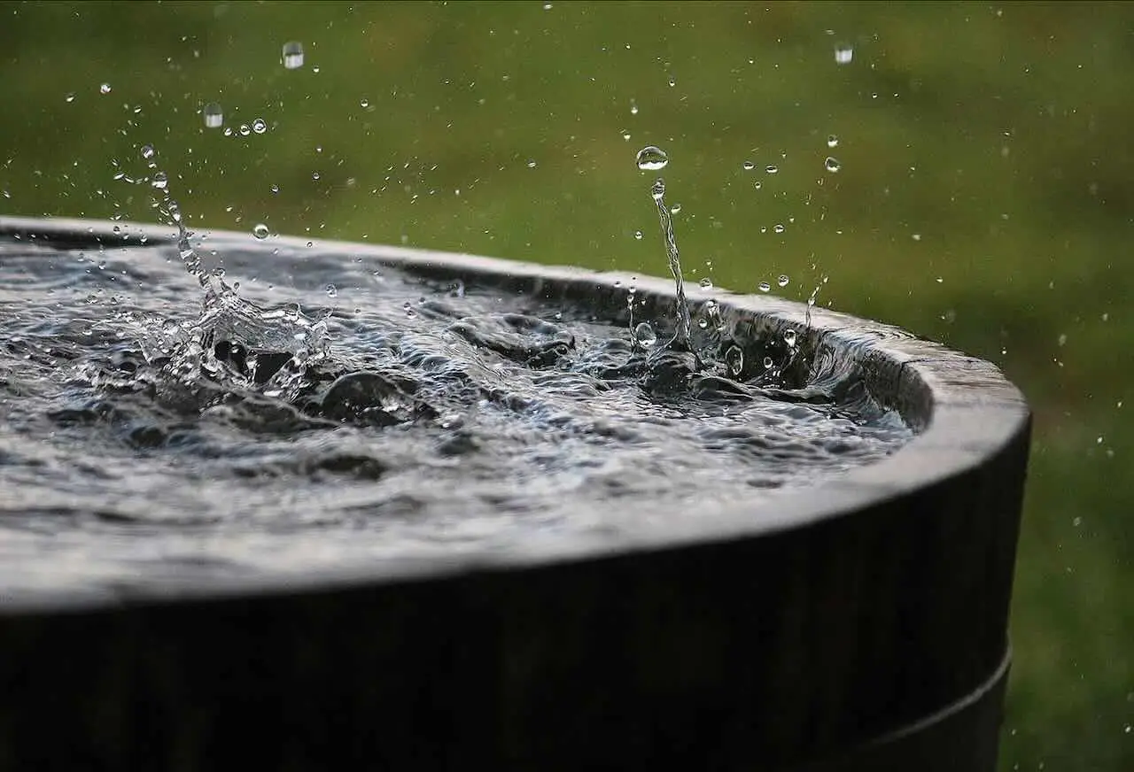 Il trucco geniale per raccogliere e conservare l’acqua piovana gratis per innaffiare le piante