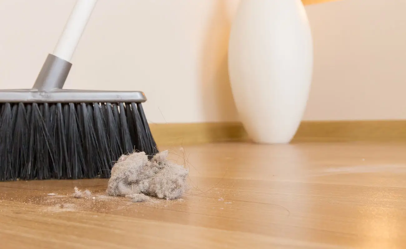 Compare questa polvere bianca sul parquet? Attenzione a cosa è dovuta