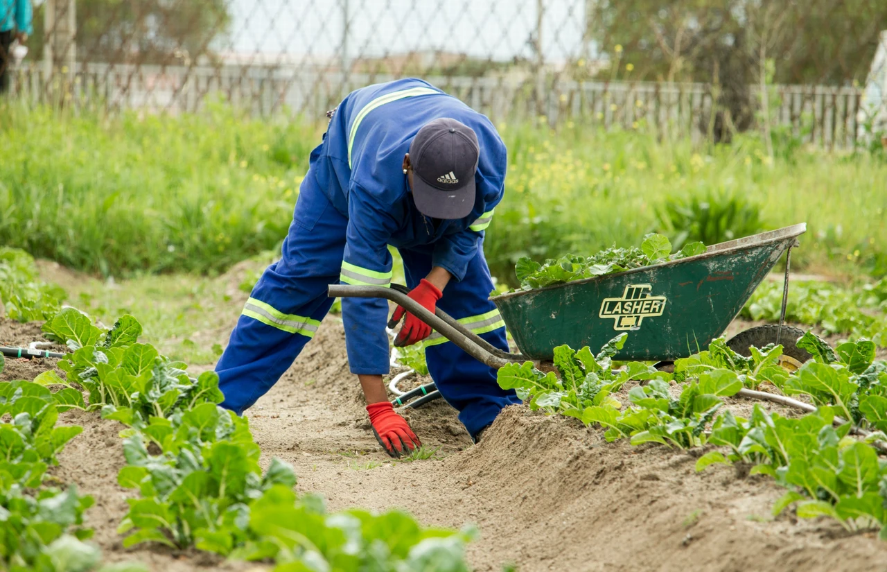 Allerta lavoro: ecco le professioni più richieste oggi anche senza esperienza