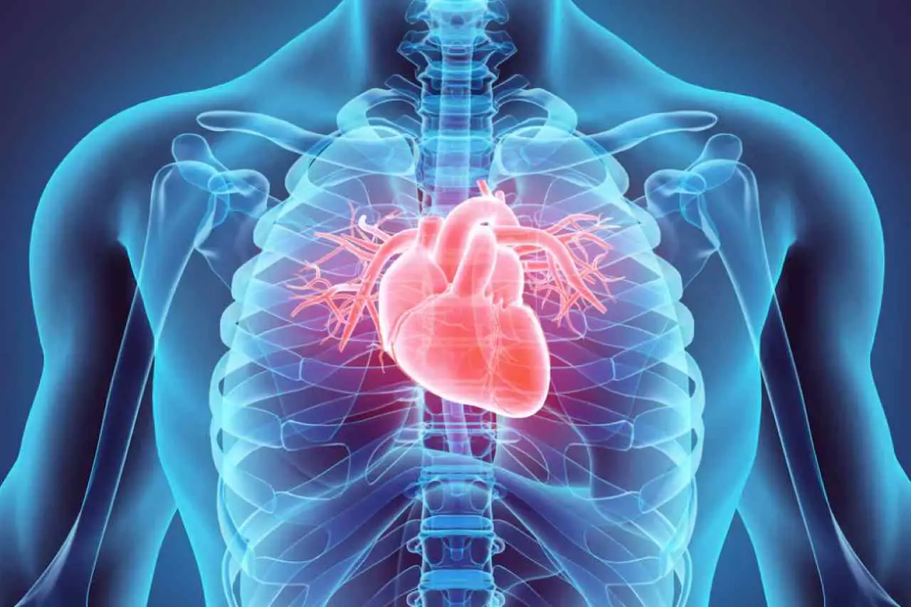 Problemi al cuore? Ecco i sintomi che spesso vengono ignorati