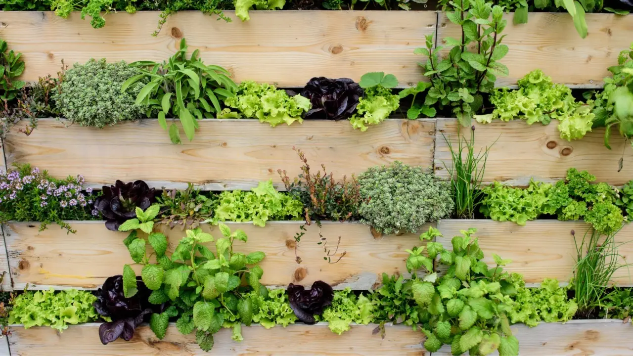 Come si fa a coltivare le erbe aromatiche in un giardino verticale? La soluzione salvaspazio