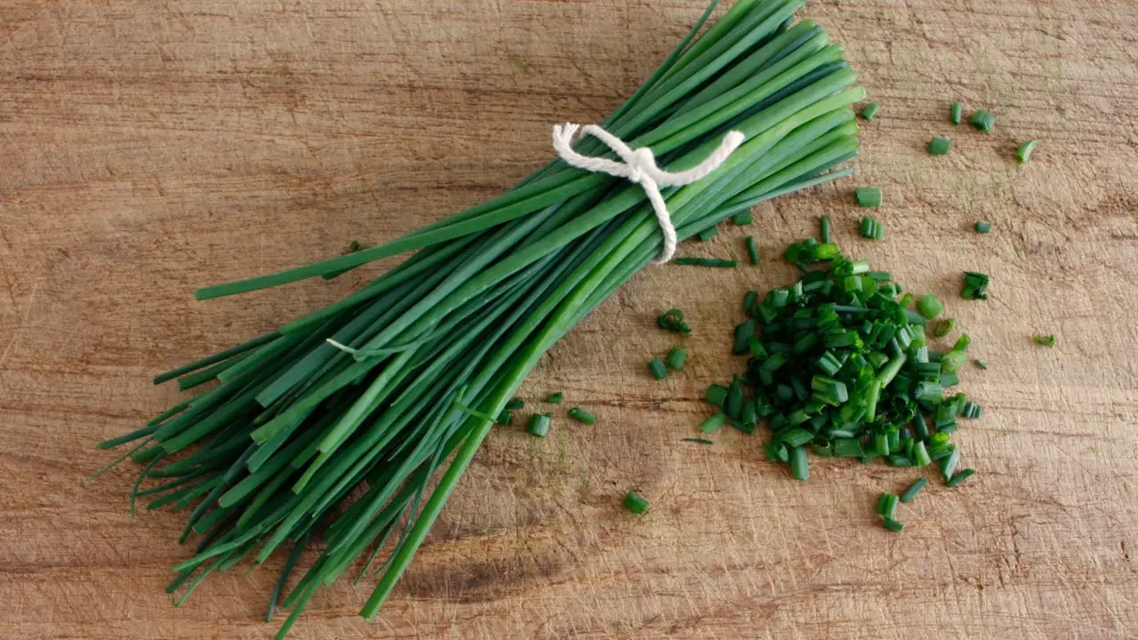 Come coltivare erba cipollina fresca