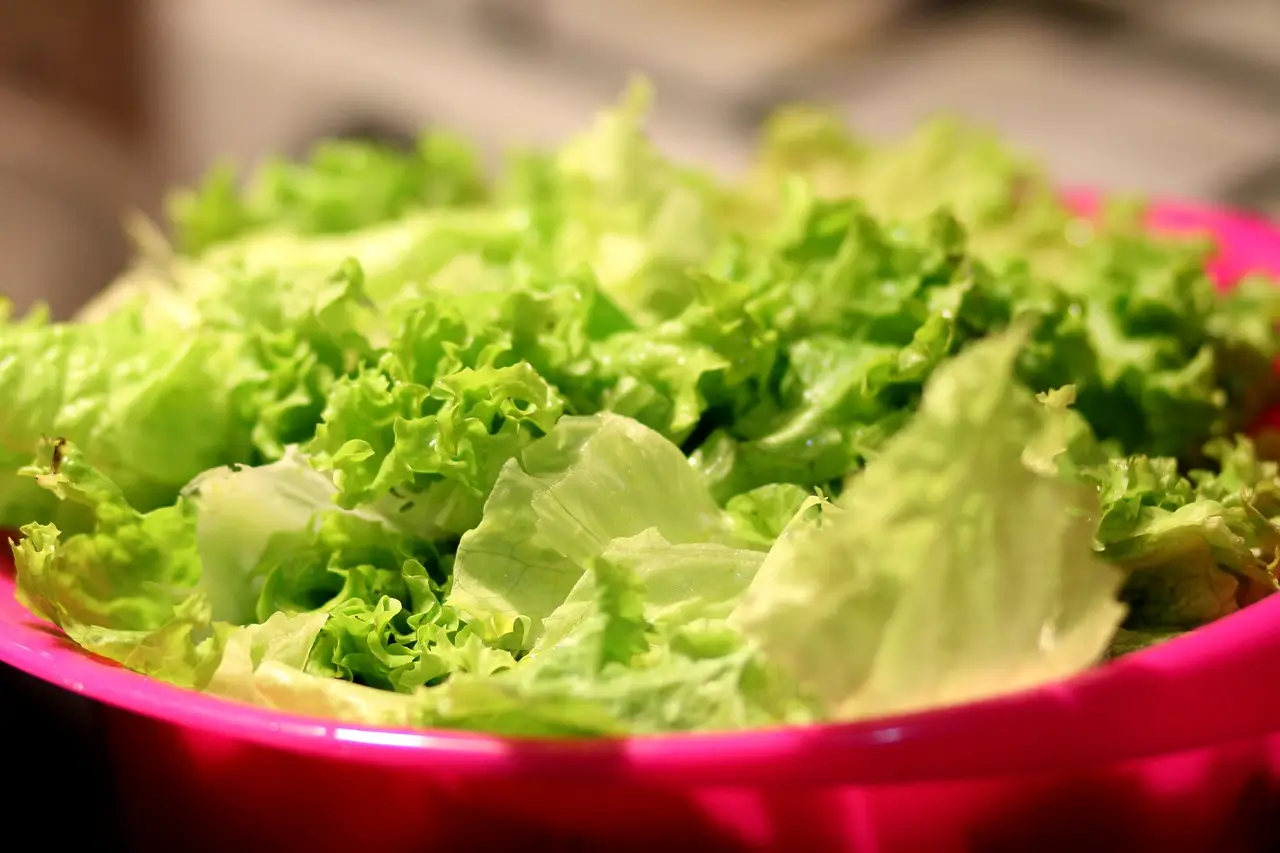 Mangiare lattuga la sera: fa bene o fa male?