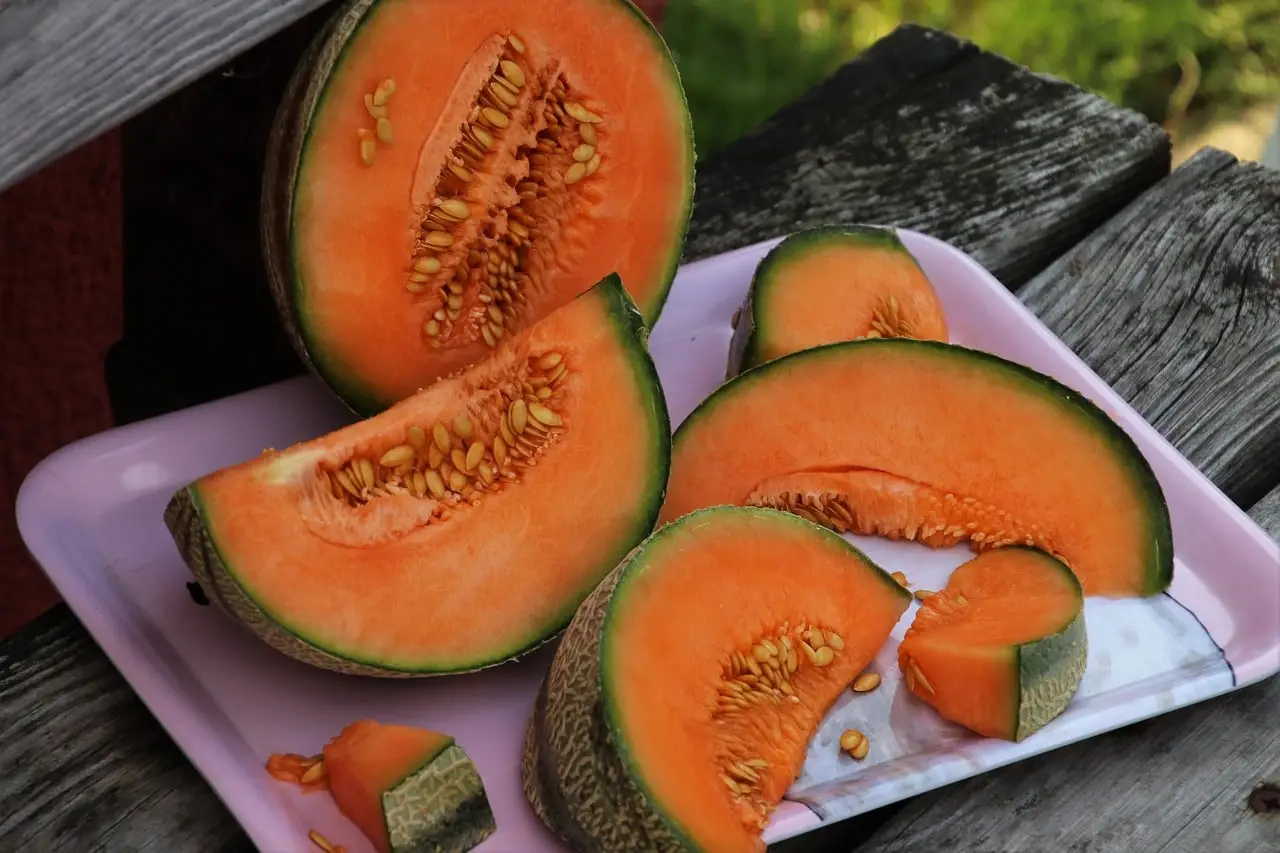 Come coltivare meloni dolci e succosi